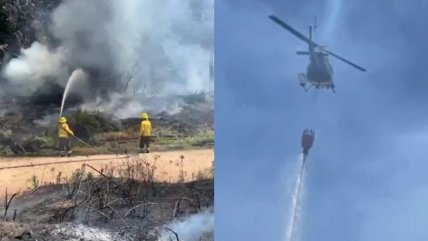  Senapred ordena evacuar sectores de La Estrella por reactivación de incendio forestal  