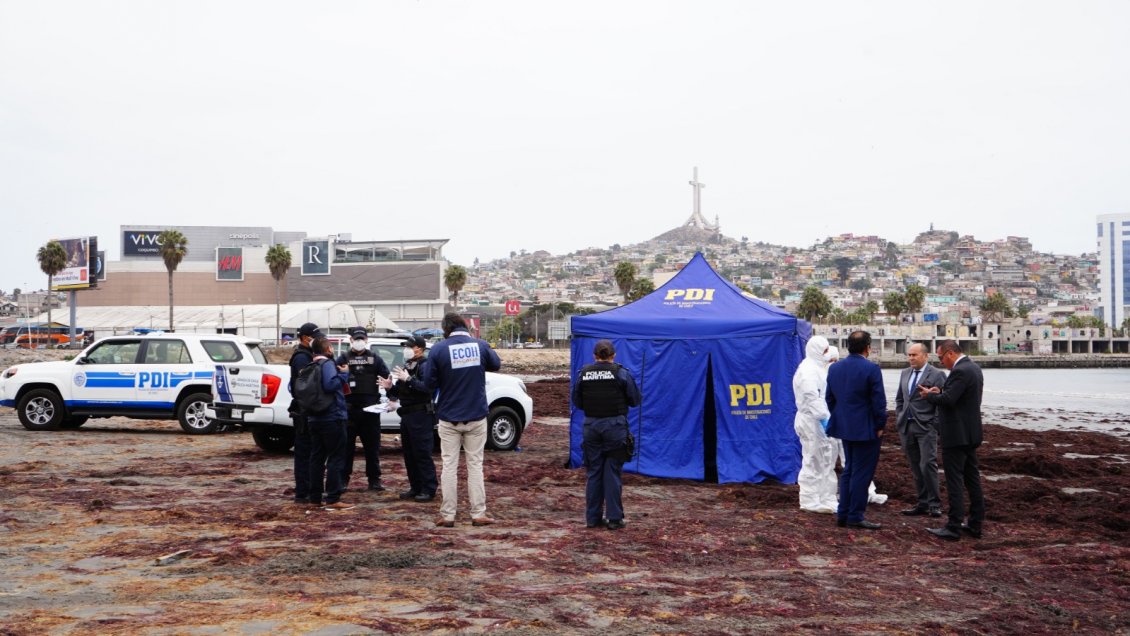 Coquimbo: Trabajadores de aseo encontraron un pie humano
