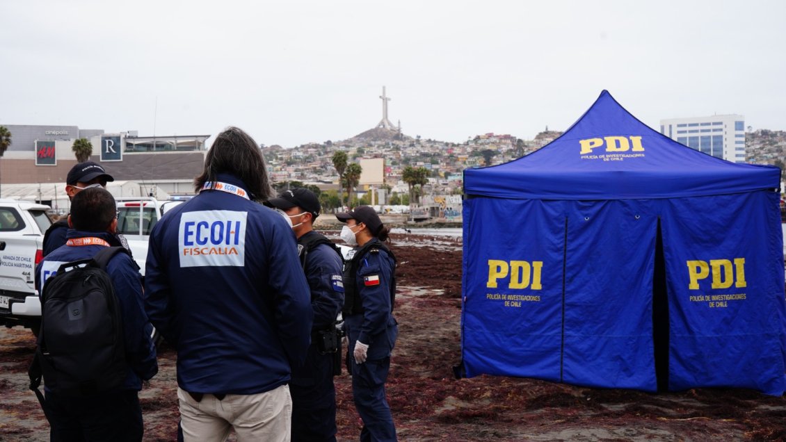 Imputado por homicidio y descuartizamiento en Coquimbo quedó en prisión