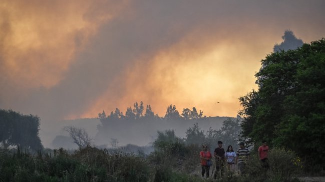 Más de 3.400 hectáreas consumidas por incendios forestales en tres regiones