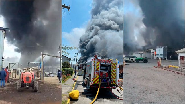 Gran incendio afectó a empresa de packing en Olivar