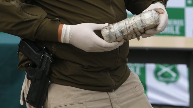 En plena Ruta Sur: Carabineros detuvo a dos sujetos con más de 16 kilos de marihuna creepy