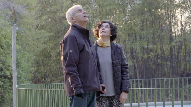 Maite Alberdi ganó importante premio en España por 