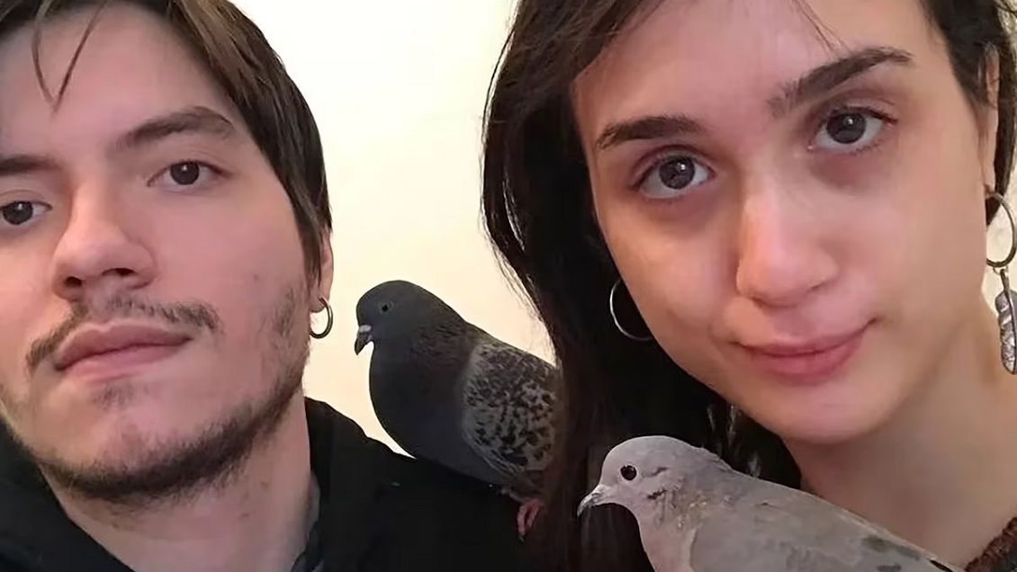 Pareja se conoció gracias a su amor por las palomas: Dicen que las discriminan