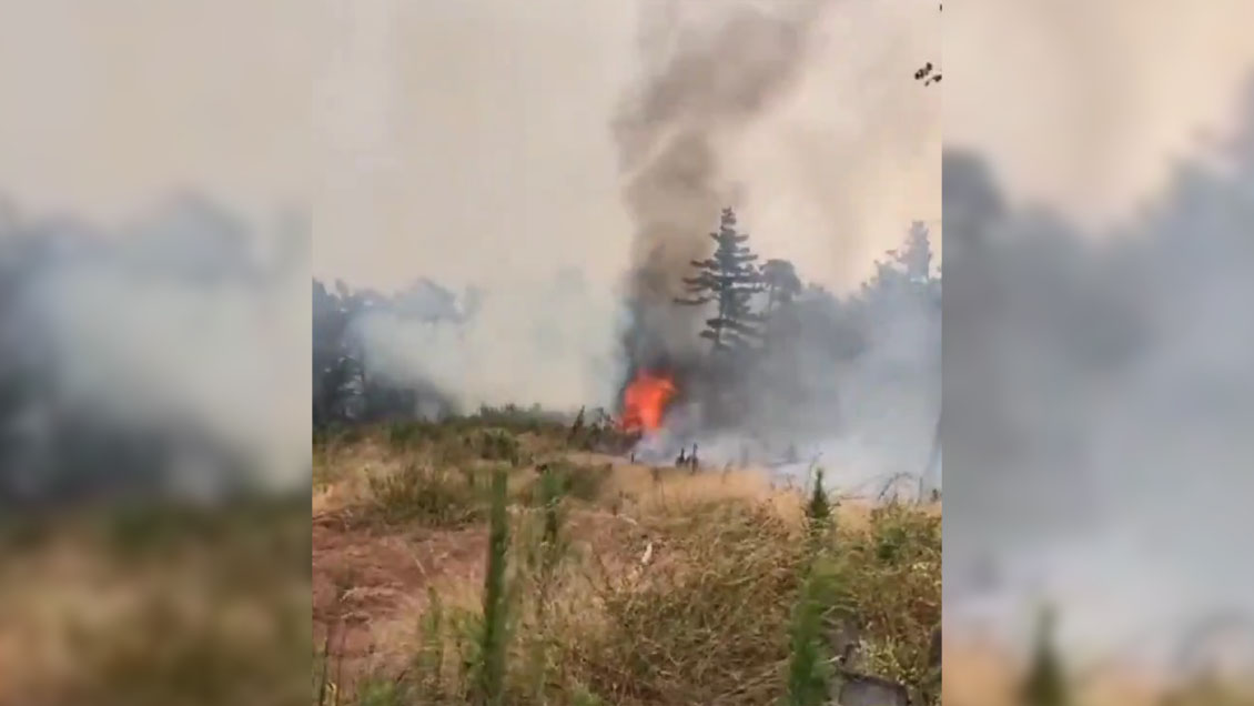 Alerta roja en Valparaíso por incendio forestal que afecta a Laguna Verde