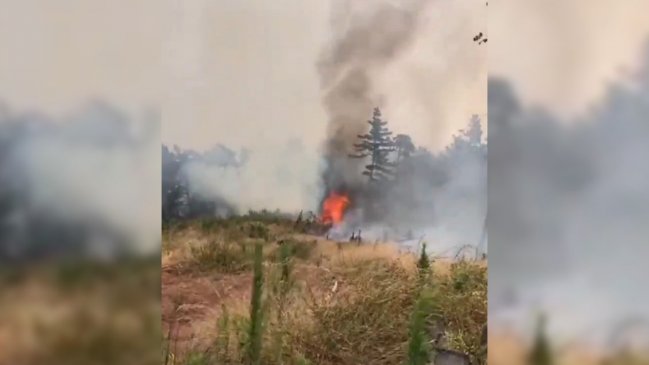 Alerta roja en Valparaíso por incendio forestal que afecta a Laguna Verde