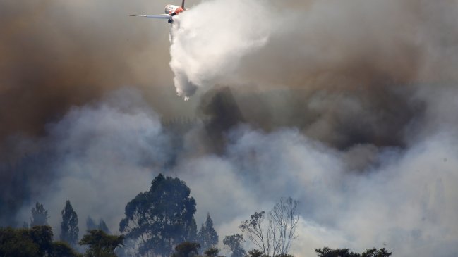 Investigadores japoneses diseñaron robot 