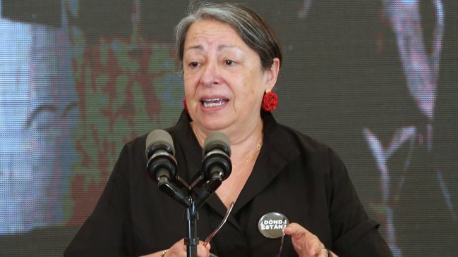 Macrozona Sur: Directora del INDH propuso mesa de diálogo que incluya a la CAM