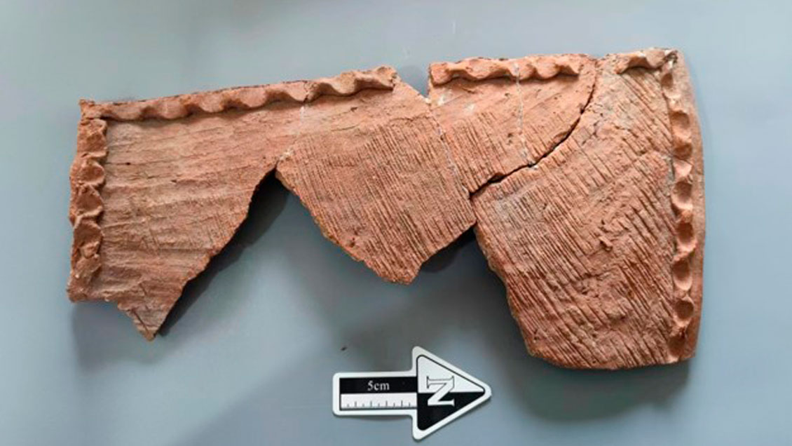 Descubren baldosas de loza en forma de teja de 5.800 años de antigüedad en China