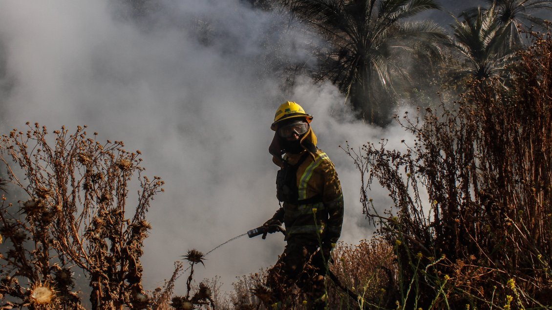 Biobío: Más de 250 llamados a la fuerza pública ante resistencia de agricultores a la prevención de incendios