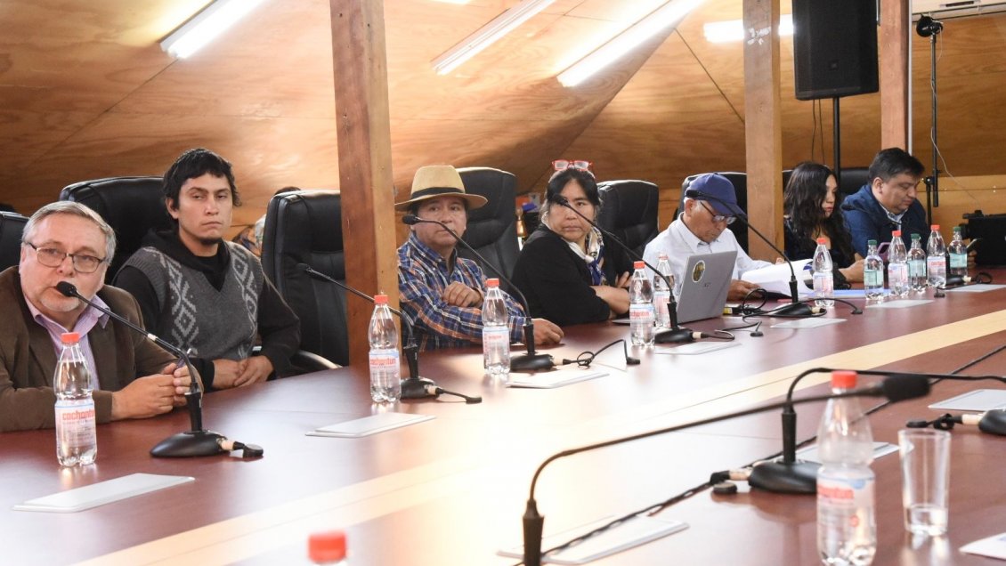 Comisión para la Paz amplía audiencias en terreno en Los Ríos