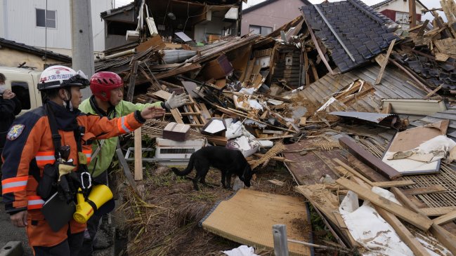  Después de 72 horas, perro rescató a mujer atrapada en escombros del terremoto de Japón  