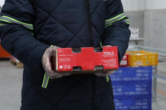 Imagen foto_00000001