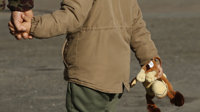 Senadores alertan que 