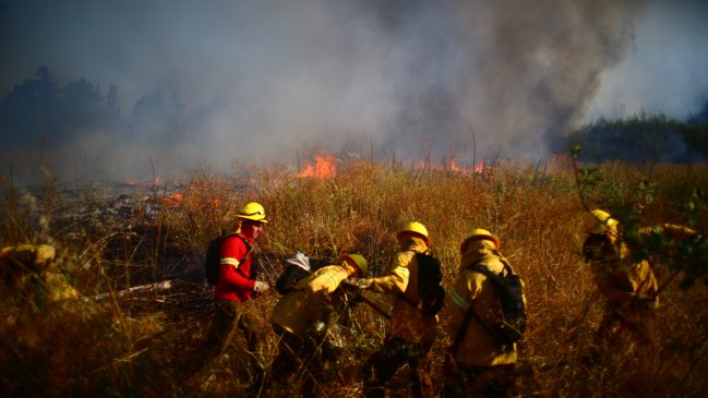 Incendio en Marchigüe dejó una vivienda y 60 hectáreas destruidas  