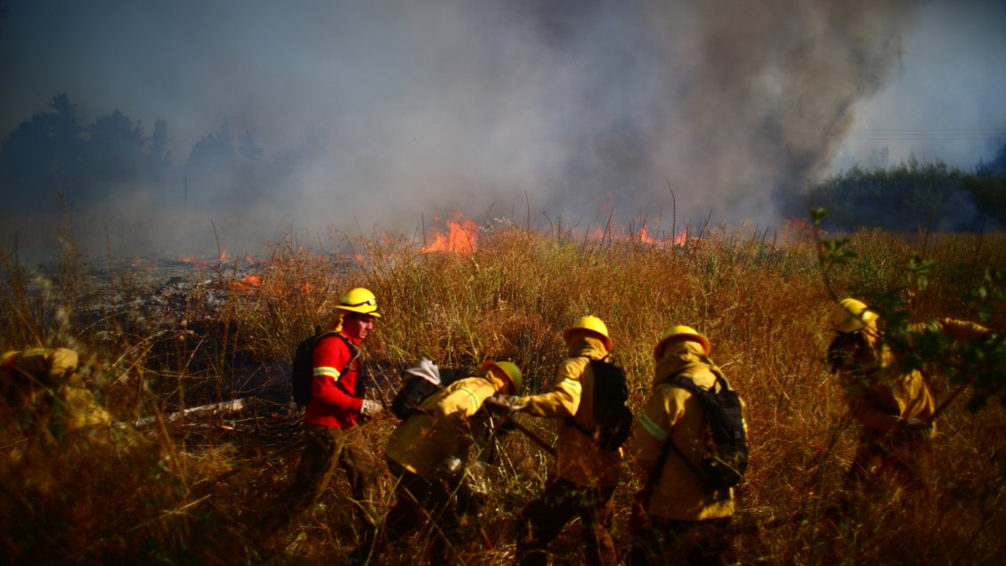 Incendio en Marchigüe dejó una vivienda y 60 hectáreas destruidas