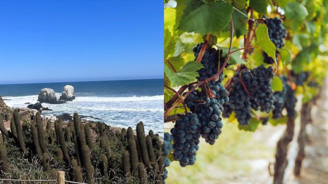 New York Times eligió a la Región de O’Higgins como uno de los 52 lugares para visitar en 2024