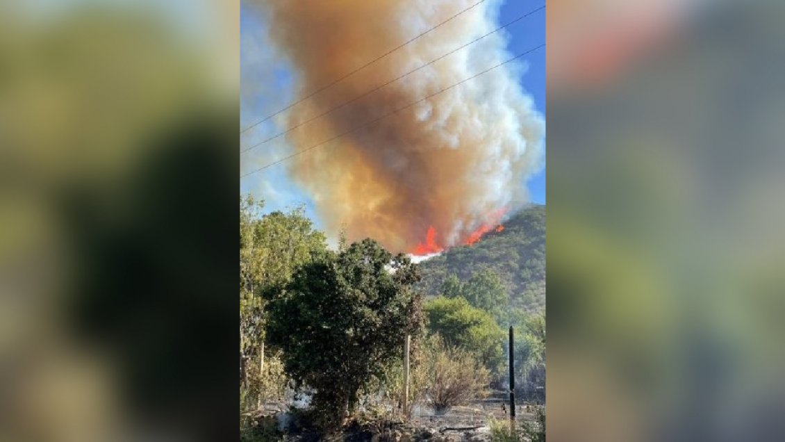 Alertas rojas en Melipilla y Quilpué por incendios forestales