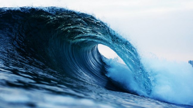 Chile, primer país en ratificar el histórico acuerdo de ONU para la protección de alta mar