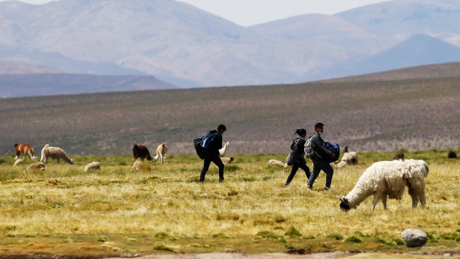 Cámara aprobó ley que tipifica como delito el ingreso clandestino a Chile