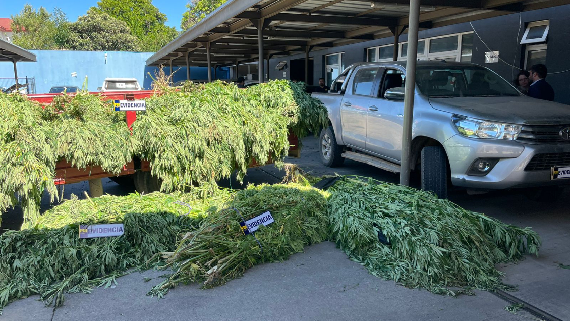 Ejército y PDI incautaron drogas avaluadas en 1.300 millones de pesos en Pidima