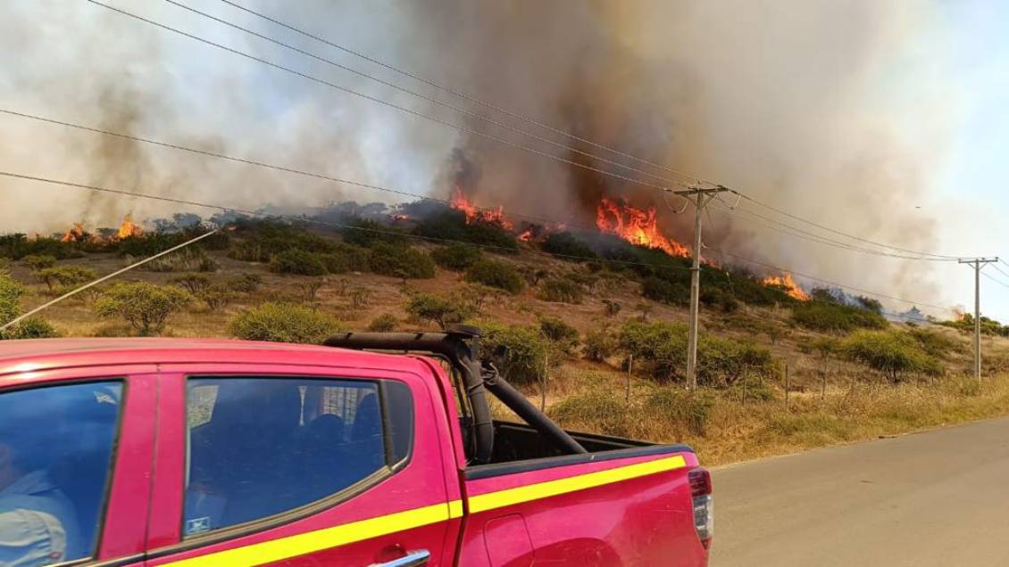 Detuvieron a sospechoso de iniciar incendio forestal en Litueche
