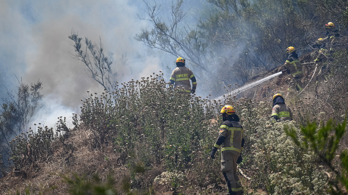 Incendio en Yumbel baja intensidad previo a festividad de San Sebastián