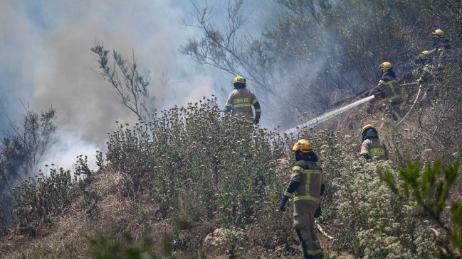 Incendio en Yumbel baja intensidad previo a festividad de San Sebastián