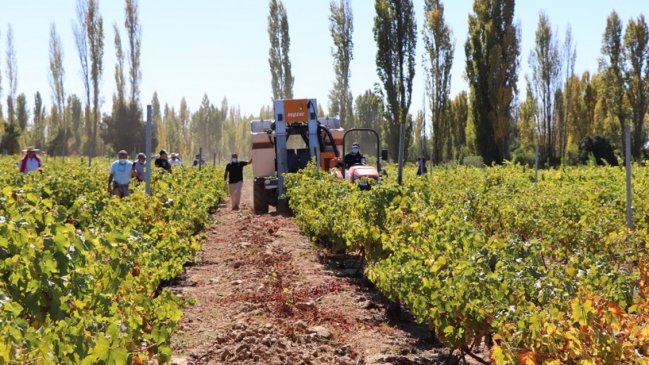 Fedefruta pidió extremar cuidados en huertos y evitar horas peak en faenas