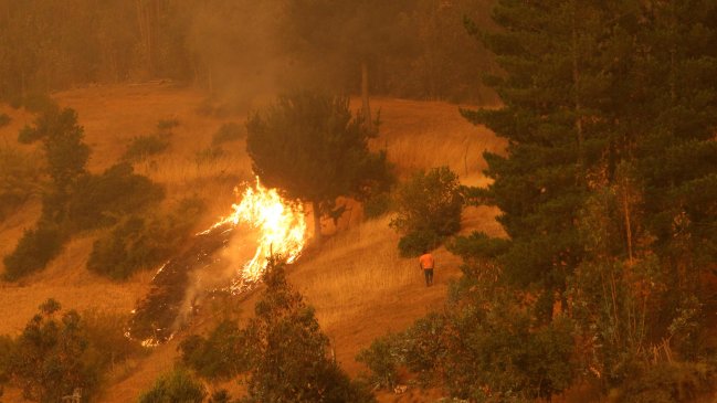 La Araucanía registra 15 incendios forestales