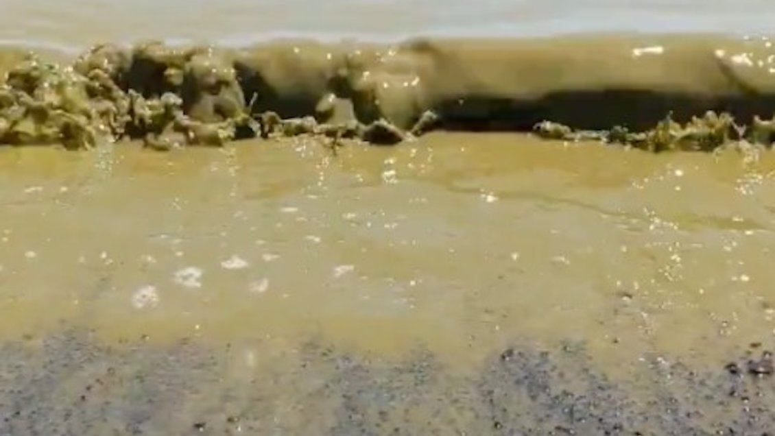 Bloom de microalgas tiñe el lago Villarrica en Pucón