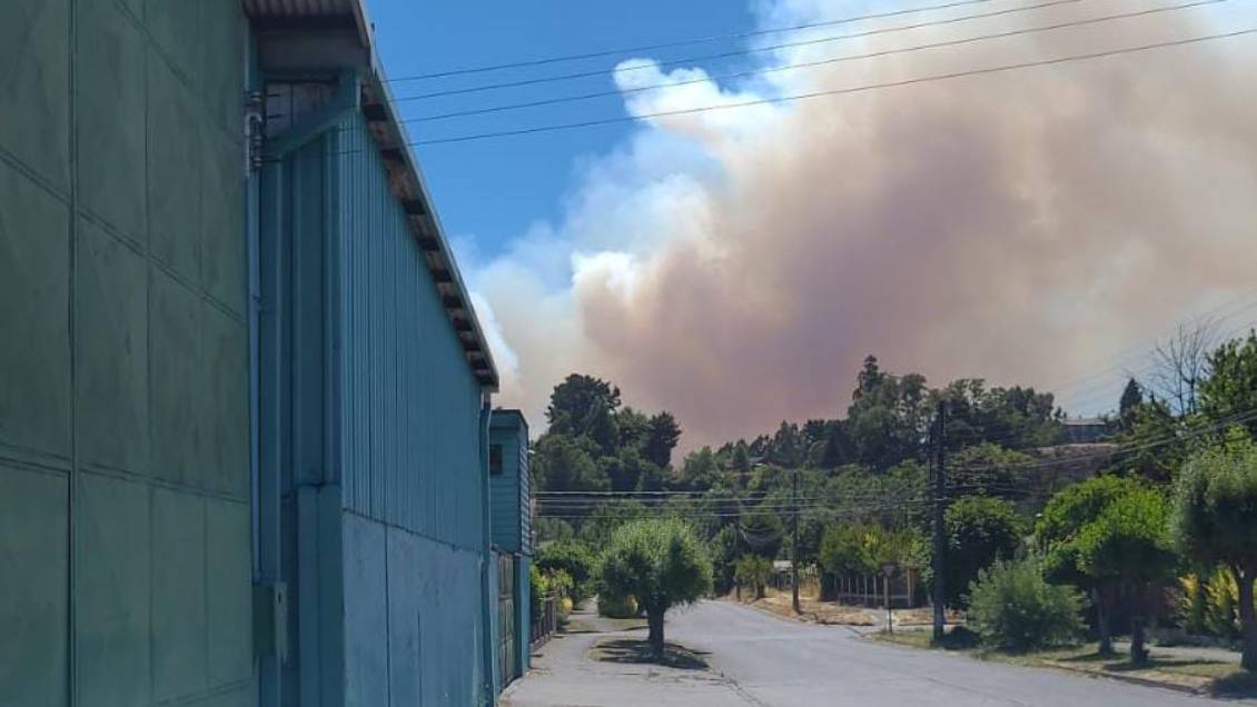 Evacuación preventiva en Lautaro por incendio forestal