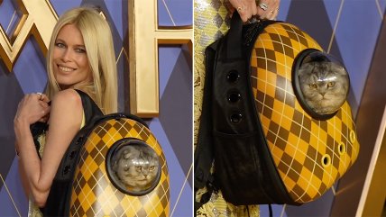   Claudia Schiffer llegó con peludo acompañante a estreno de 