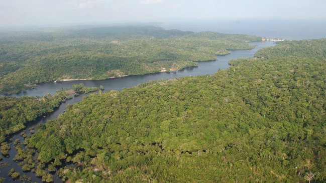   Los graves incendios forestales de Colombia podrían alcanzar la Amazonía en febrero 