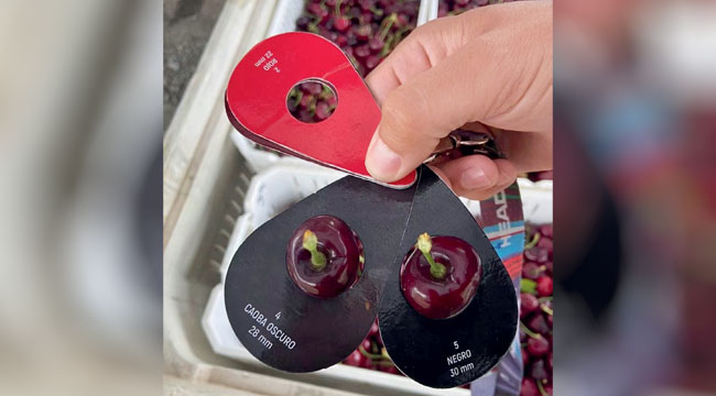 Imagen foto_00000003