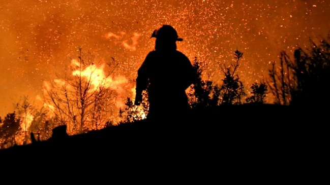 Origen de incendios forestales en Chile: 28% intencionalidad y 72% negligencia