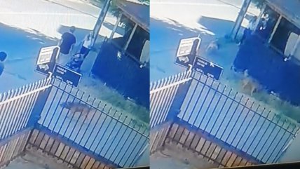  Cámara de seguridad salvó a 