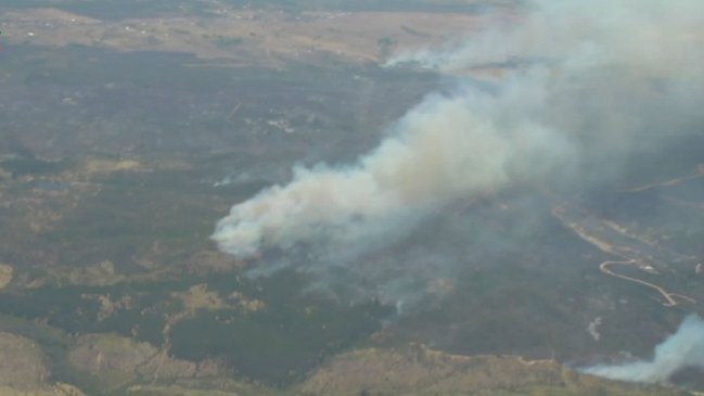 Incendio forestal se reactivó en La Estrella: Senapred solicitó evacuar