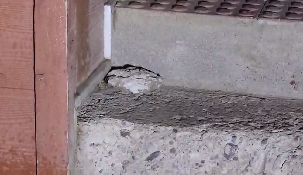 Imagen foto_00000021