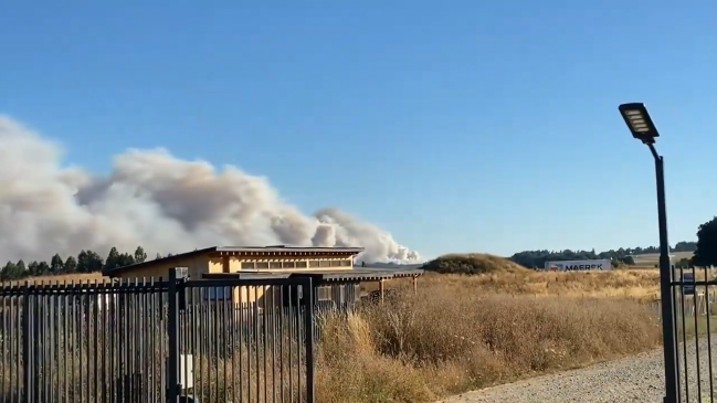 Región de Los Lagos: Incendio forestal obliga a evacuar a vecinos de San Pablo