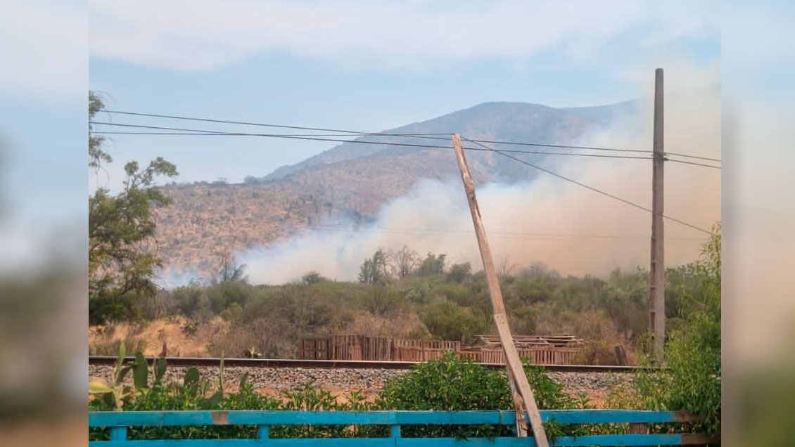 Alcalde acusa intencionalidad en incendio forestal de Tiltil