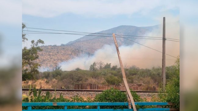 Alcalde acusa intencionalidad en incendio forestal de Tiltil