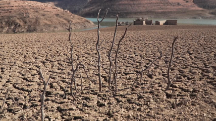   Cataluña se queda sin agua: prohíben llenar piscinas y lavar autos 