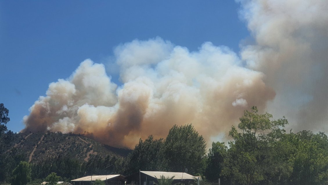 Sospechoso de iniciar incendio forestal en Las Cabras quedó en prisión preventiva