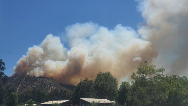 Sospechoso de iniciar incendio forestal en Las Cabras quedó en prisión preventiva