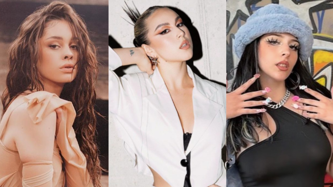 Soulfía, Kya y más artistas harán shows en beneficio de animalitos afectados por incendios