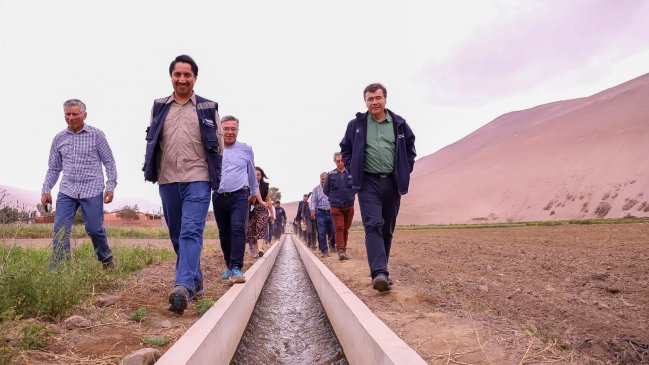 Gobierno entregó 40 toneladas de concentrado animal a agricultores de O'Higgins tras incendios