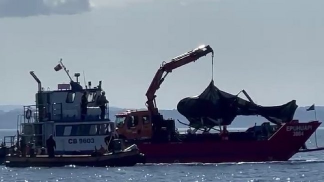  Helicóptero de expresidente Piñera fue extraído desde el Lago Ranco  