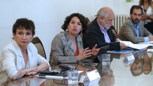 Ministra Toro espera tener plan de reconstrucción durante la 