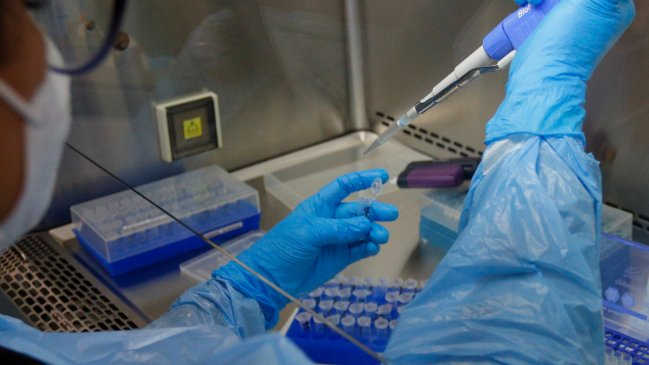 Nuevo anticuerpo desarrollado en laboratorio logra bloquear todas las variantes del SARS-CoV-2